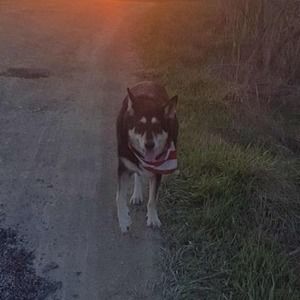 Meet your Posher, Greg